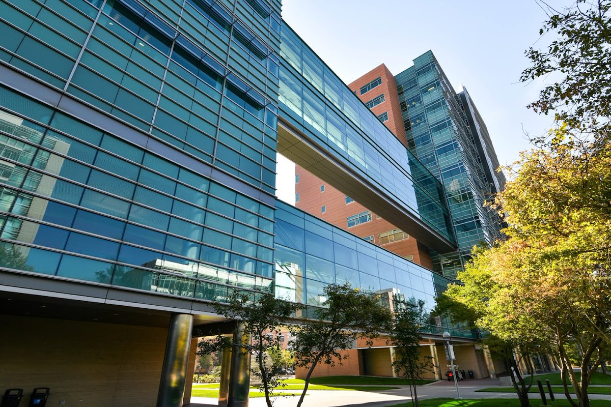 NassourJoe's tweet photo. Happy to announce that I will be joining the University of Colorado @CUAnschutz as an Assistant Professor in summer 2023! My lab will study how telomeres interact with autophagy and innate immunity to prevent cancer initiation. Reach out to explore opportunities to join our team! https://t.co/vZaZRIGt3E