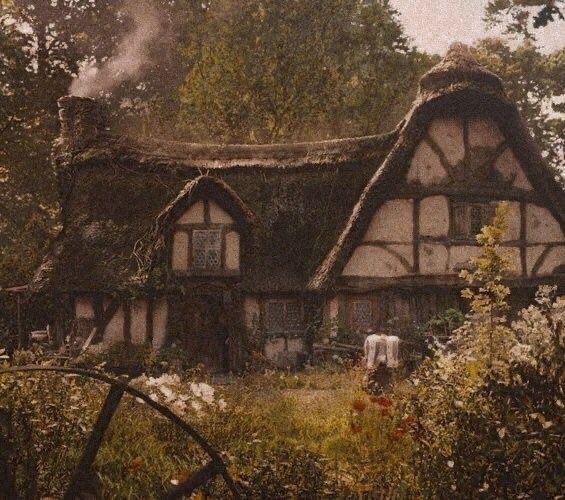 cosypixie's tweet photo. https://t.co/b8zXnINNKk