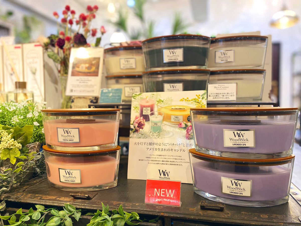 richcandle's tweet image. 焚き火のようなパチパチ音が楽しめる、大人気の #WoodWick(#ウッドウィック)のキャンドル。

爽やかな香りで人気のホワイトティー&amp;amp;ジャスミンの香りもまだ少しあります✨

ネットショップでもご購入いただけるのでご希望の方はお早めに♪

#ハースウィック #トリロジー #パチパチ音 #暖炉 #正規取扱店