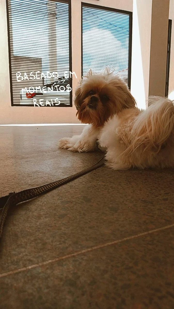 Stefhane13's tweet photo. 🐾🐶 https://t.co/8R0aHQARPE