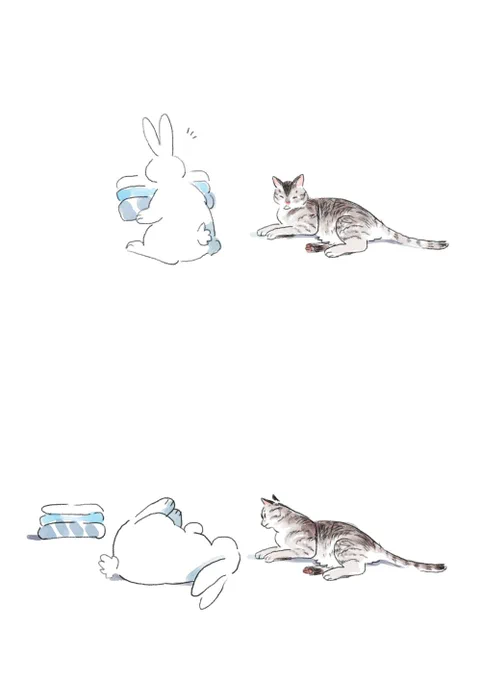 there was a cat here 