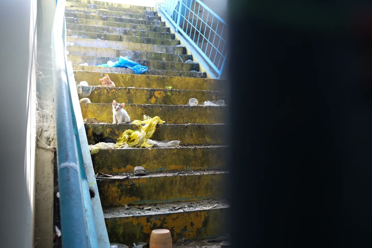 JesWashington's tweet photo. Almost 6 months after the Kanjuruhan stadium tragedy, we returned to Malang. The shoes of spectators who tried to flee after police fired tear gas still line the steps near exits. And the community is still mourning the 135 lives lost. @AJEnglish
https://t.co/mMzdJ7JJkC https://t.co/X8rjQwhGJU