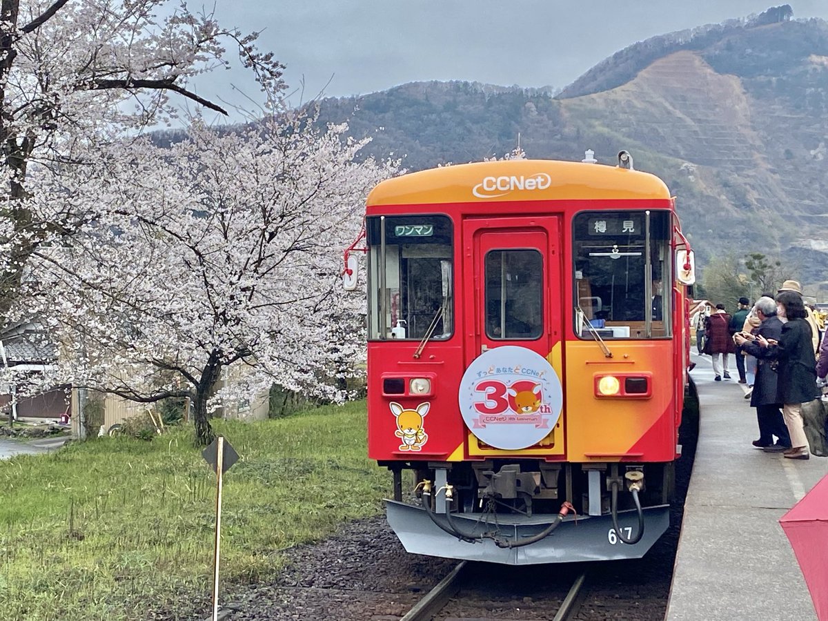 樽見鉄道の谷汲口駅
#皆さんの鉄道と桜の写真見せて下さい