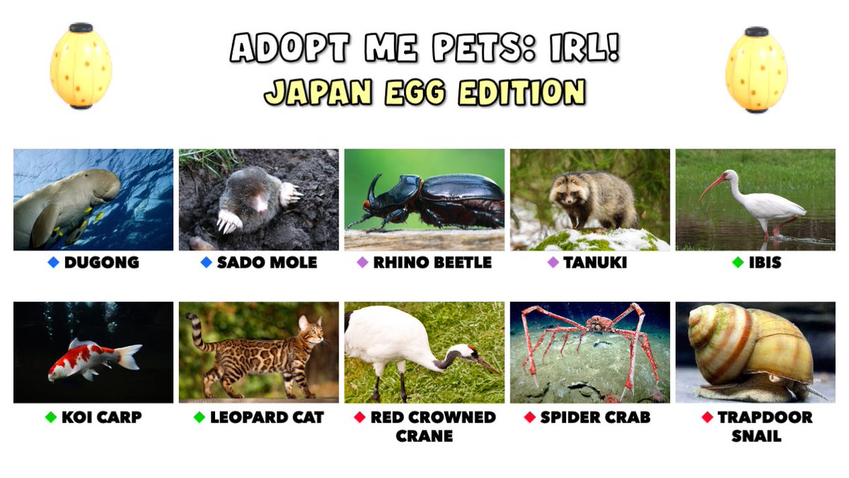Adopt Me Japan Egg Pets List - Try Hard Guides