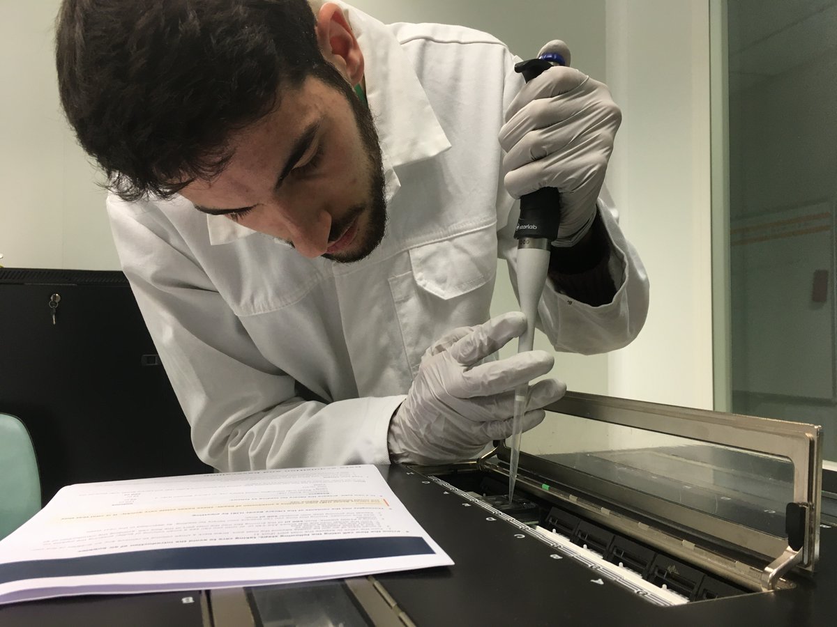 If you cannot attend Paris Day next week, EPGV/#GAFL PhD student Javier Belinchon-Moreno will be at London #nanoporeconf to present his results showing how Nanopore Adaptive Sampling (#NAS)🧬can help to better characterise resistance genes in melon🍈 
nanoporetech.com/lc23/agenda