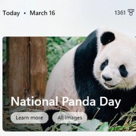 davidlboyle1's tweet image. Nat&apos;l Panda Day&apos;s a perfect time to vote @ superspaces.ai/vote. Search &apos;pandamania&apos; to vote for @PandaMania_NFT. Kinda fun how when I voted, it said &quot;14 days 14 hours 14 minutes&quot; left! ~ Let&apos;s get @pandamania_nft from #4 to #1 #PandaMania #superspaces #savepandas #pandas #nft