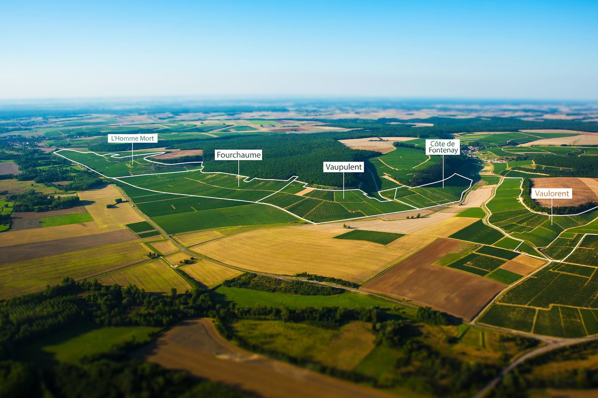 vinsdechablis's tweet photo. 🌱 Sous la bannière du #Climat porte-drapeau Fourchaume s’étirant sur 4 km, 5 Climats se distinguent :
Fourchaume, L’Homme Mort, Vaupulent, Côte de Fontenay et Vaulorent.
📍Retrouvez leurs caractéristiques ici 👇
https://t.co/83MSWOv7Vp
#Chablis #PremierCru
@VinsdeBourgogne https://t.co/GL9jxr3tSL