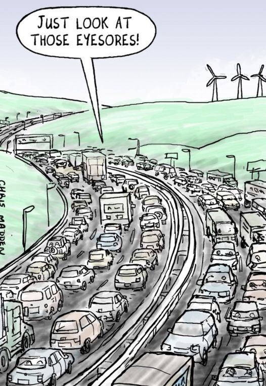 Oliver ✊🌏🔥 #ClimateAction #EcoSocialist tweet media