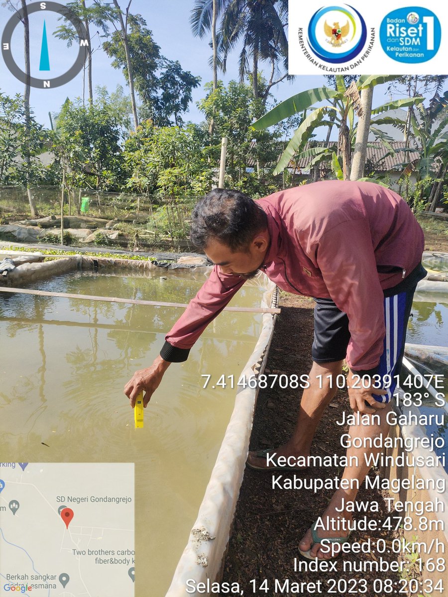 Nurfitrianijafar tweet media