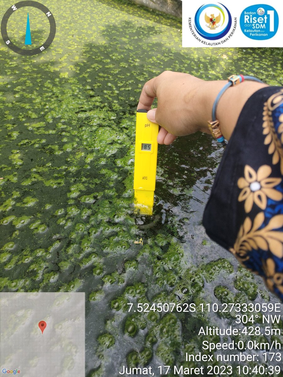 Nurfitrianijafar tweet media