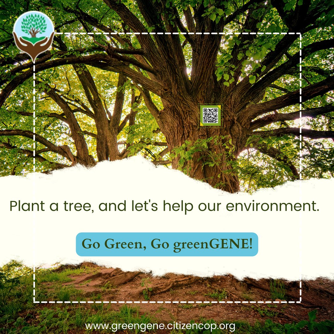 greenGENEIndore's tweet photo. Love this? Tap the like button and follow us for more of this content. 😃⚡

Download Now! 📱
Android &amp; iOS link to our app: https://t.co/ATiPmIuZho https://t.co/zEn4QR510k 

#greenGENEapp #greenGENE #tagtree #tagplants #greengenefoundation #greenworld #treetagging #labelatree https://t.co/iCBI0OH8r6