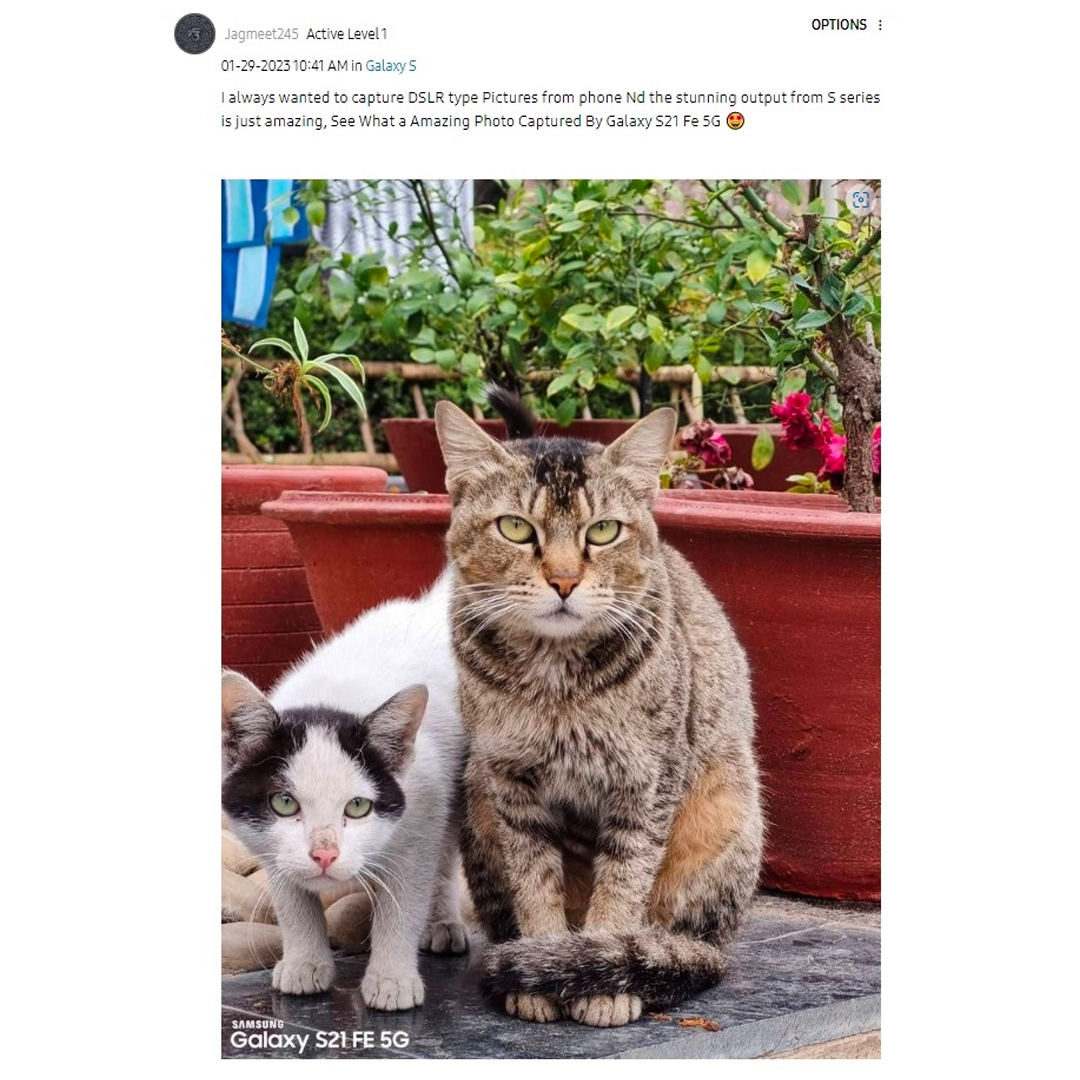 SamsungNewsIN's tweet photo. This is why we do what we do! 🙌
Samsung Members have shown their #LoveForS through all these gorgeous pictures & we just can’t stop smiling. Tap the link below to know all about this contest.
https://t.co/btqXOf5MSy #Samsung