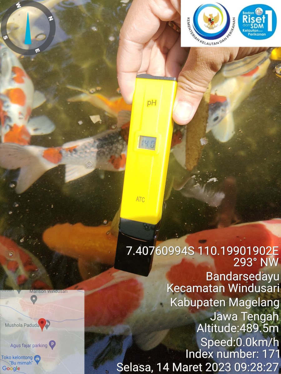 Nurfitrianijafar tweet media