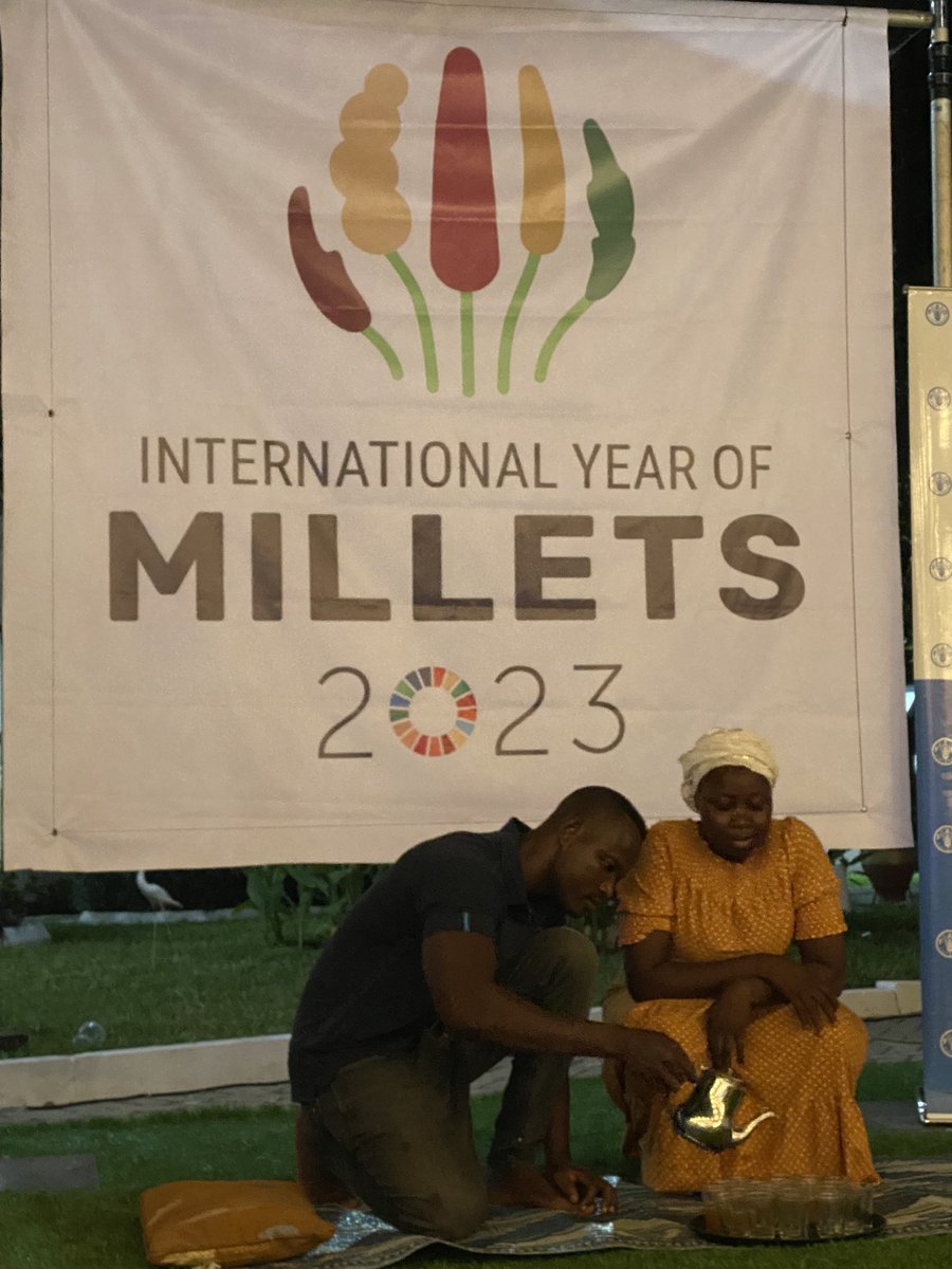 yurdi_yasmi's tweet photo. @FAOAfrica celebrates the #IYM2023 with partners in #Accra

@Fulanichef served fonio in her ‘dine on the mat’ evening, explaining the importance of #fonio for food security and #nutrition

@HCThompson001 @DanieladOrlandi @IrchadR @zoie_jones @AbebeHGabriel @clapa @Kaz_Fujiwara https://t.co/StxvQt73w2