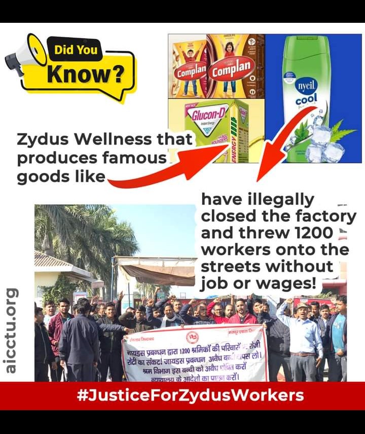 RohitKu67533688's tweet photo. @ZydusHospitals @RjDhrumil @RedFMIndia @ZydusUniverse #Zydus group down down https://t.co/zEY0Ugwm89