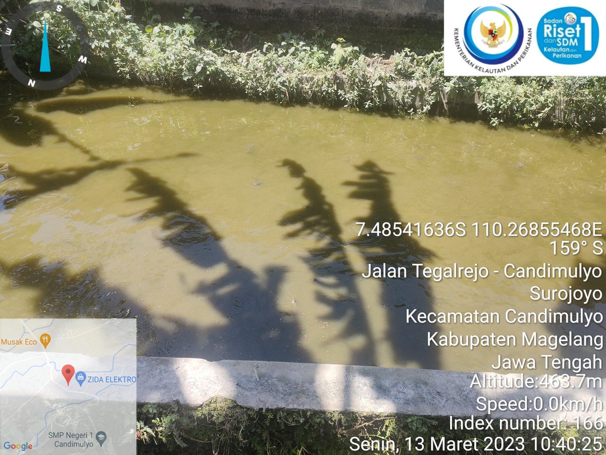 Nurfitrianijafar tweet media