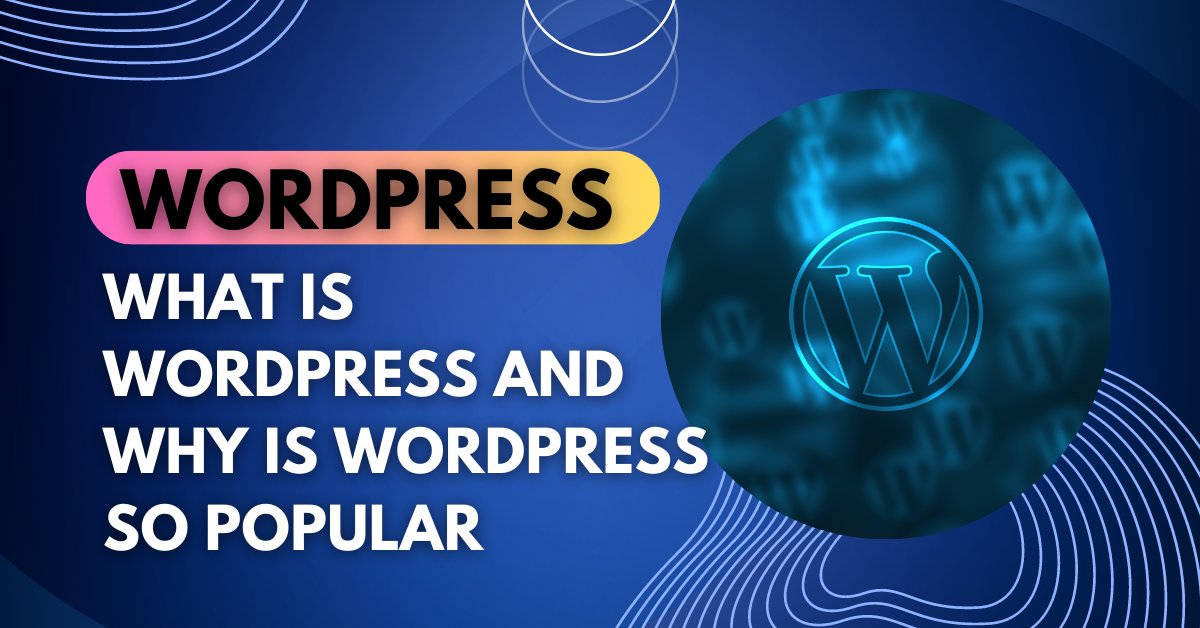 What is WordPress? and why is WordPress so popular?

Hire Me: fiverr.com/share/kryQ8y
 #wordpressdesign #wordpressexpert #wordpressdevelopment #wordpresswebsite #landingpagedesign #landingpages #landing #landingpagebuilder #landingpagedesigner #elementor #hmreazulReadul