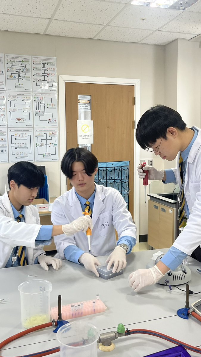 NLCSJeju_Bio's tweet photo. Mrs Prichard’s Year 11 class conducting a gel electrophoresis on DNA fragments. https://t.co/iVafQKF15f