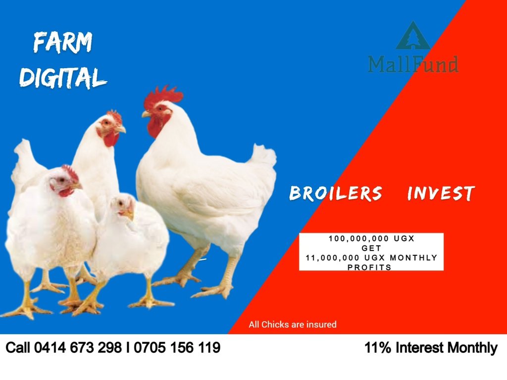 bamwinejnr's tweet photo. Why Mall Fund is better than a fixed Deposit account?;
1. 11% interest monthly.
2. You can withdraw your 11% interest even after 1 month
3. No charges.
Call 0705 156 119 I 0414 673 298 for more details.
#MallFund
#FarmDigital https://t.co/8yai4PcFuN