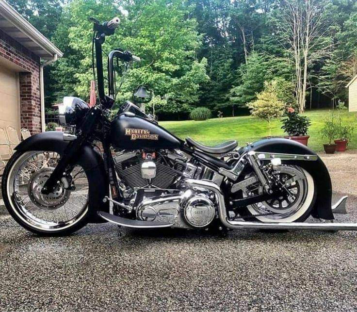 Biker tweet media