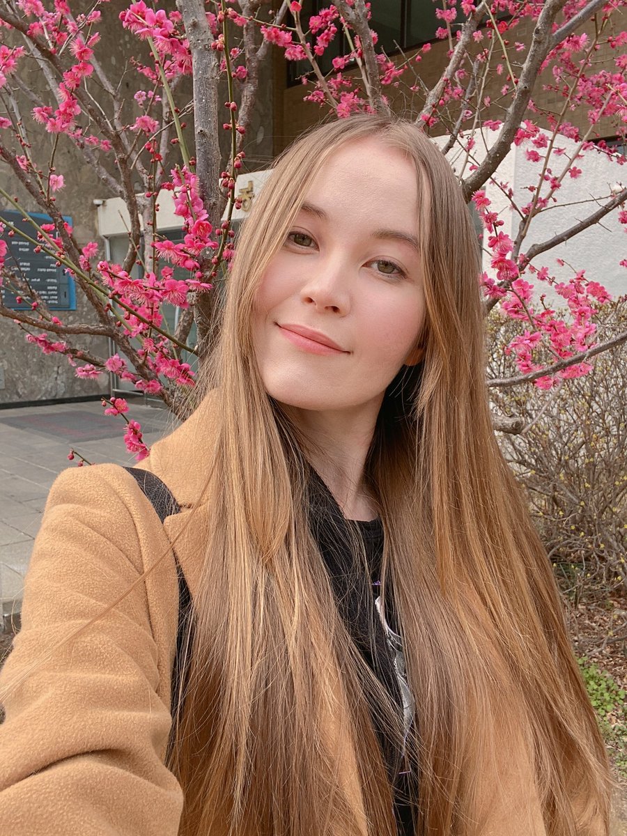 TenKetsu Seoul on Twitter "Blooming plum trees are so pretty"