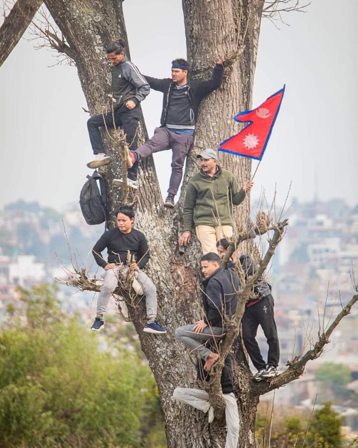 सुन्नुसटो  ! यसो गरौं बाउन्ड्री को वरीपरी रुख रोपौं प्याराफिट नै नचाइने,किन चाहियो सिङ्गो रङ्गशाला जावो क्रिकेटलाई?😏