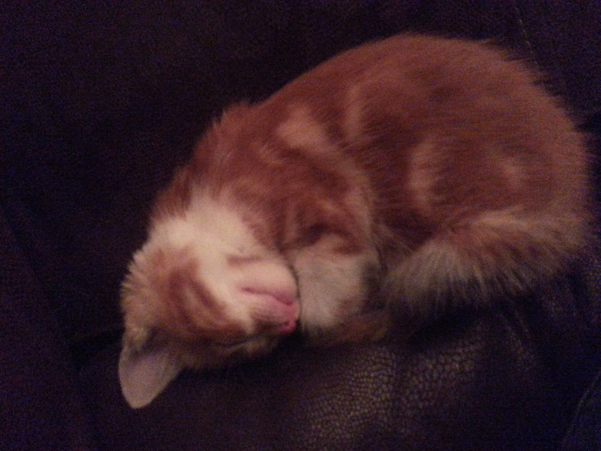 Nathan Hanover Synthonic Orchestra 🎻 BA (Hons) on Twitter "Milly is