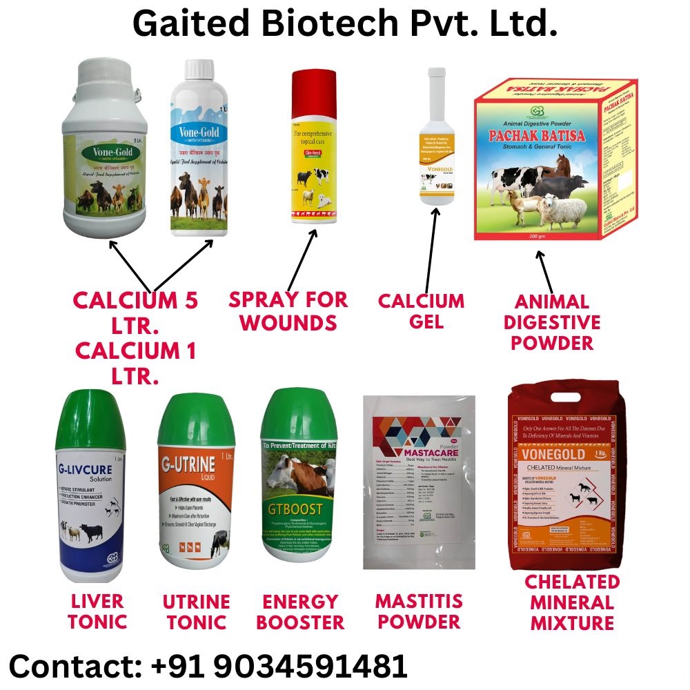 Gaited Biotech Pvt. Ltd.
#feedsupplements #veterinary #doctor #pet #dog #animal #cattle #calcium #manufacturers #pharmaceuticals #healthcare