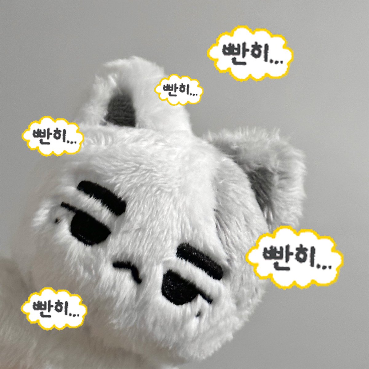 녕냥이 tweet media