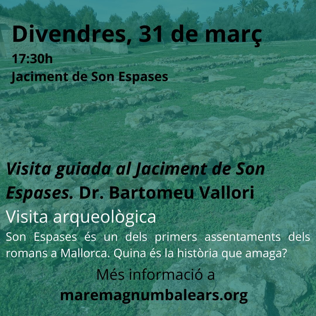 📯A #Palma hi ha un jaciment romà...

Amb en <a href="/BmeuVallori/">Bartomeu Vallori</a>, coneixerem la història que s'hi amaga!

➡️Reserva la teva plaça: maremagnumbalears.org/festival-cultu…