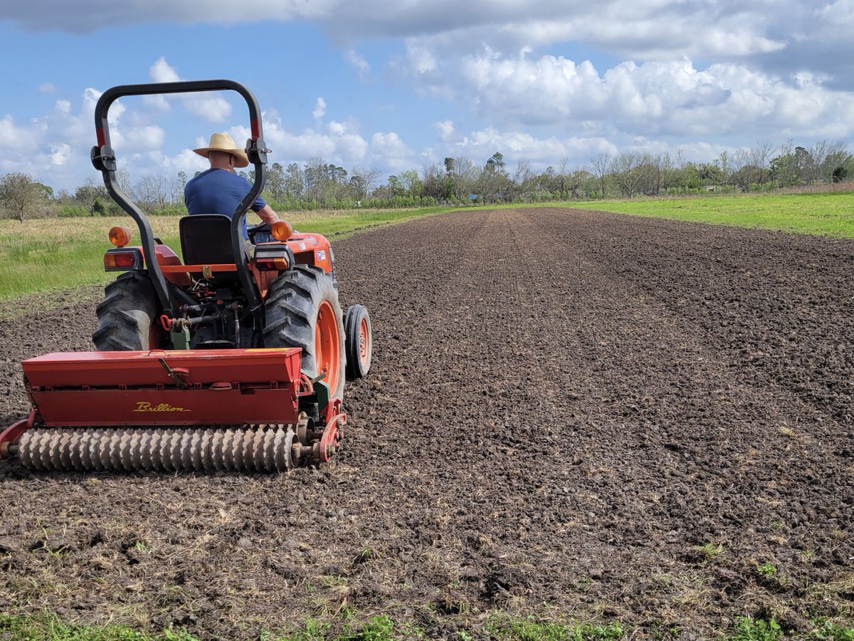 BTNEP's tweet photo. Exciting things are happening at the Nicholls Farm/BTNEP Native Plant Nursery! Earlier this month, BTNEP partnered with Nicholls to create a 1-acre wildflower plot to support pollinators and additional wildlife at the farm. Together we sowed 36 lbs of seed! https://t.co/YWmi1wiAsM