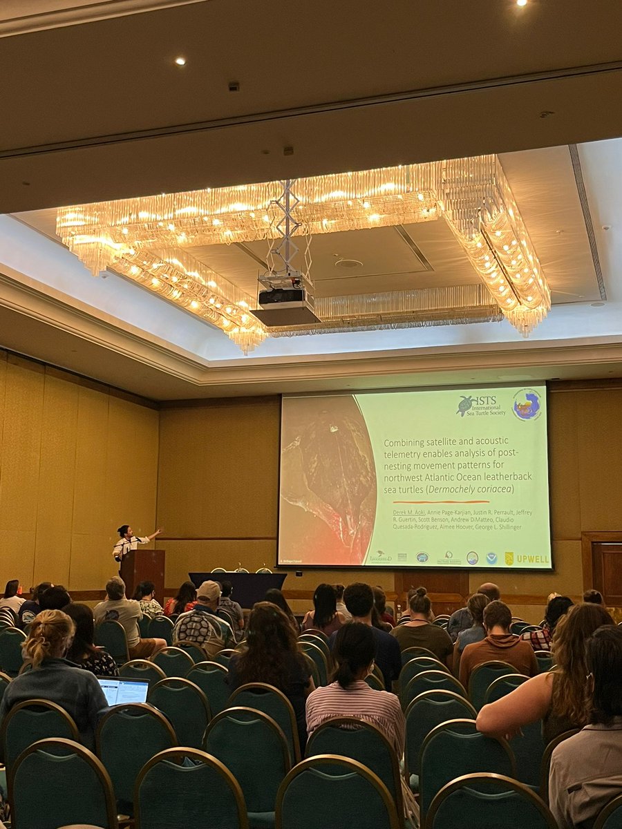 Was honored to present our work on combining #satellite and #acoustic #telemetry to monitor post-nesting movements of NWA #leatherbacks at #ISTS41_Cartagena 
@HarborBranch @LoggerheadMC @UpwellTurtles @OceanTracking @FACT_Network @FAUResearch
