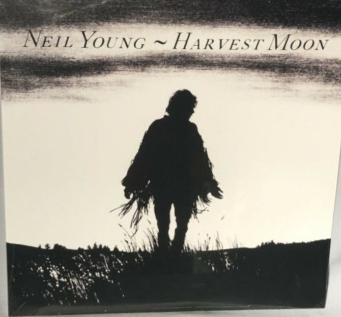 Sallystardust tweet media