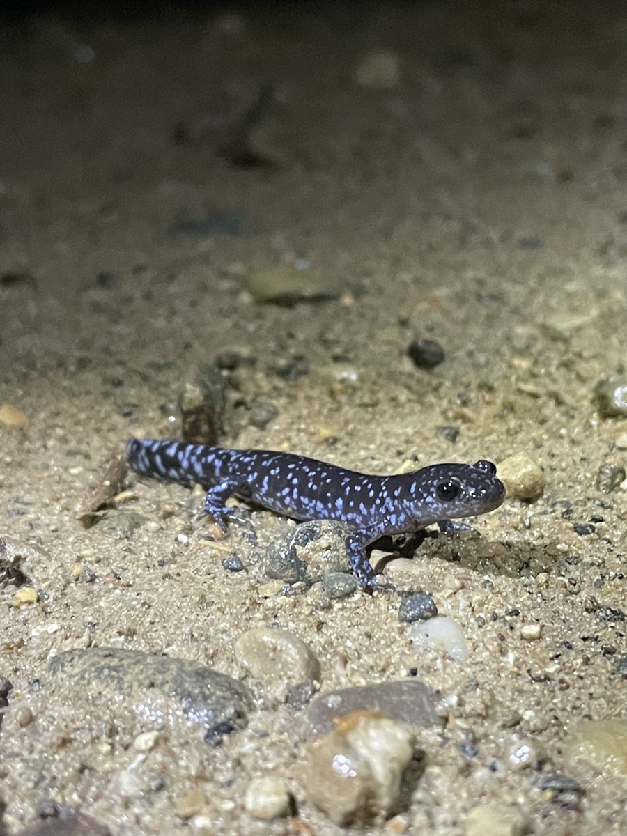 Morgan Clark (she/her) tweet media