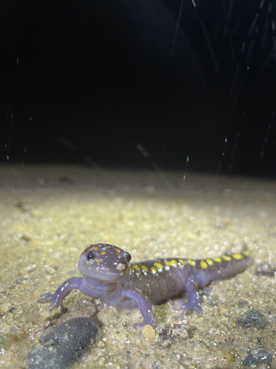 Morgan Clark (she/her) tweet media