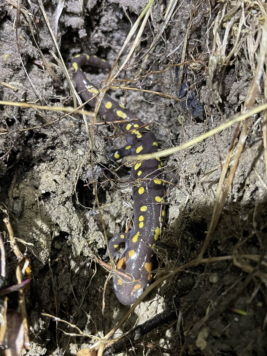 Morgan Clark (she/her) tweet media