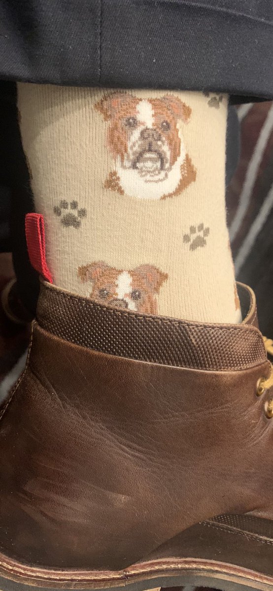 CameronAnglum's tweet photo. Here in spirit at #AEFP2023! #socksofaefp ## #PetsofAEFP https://t.co/Ssxh8L3bxy