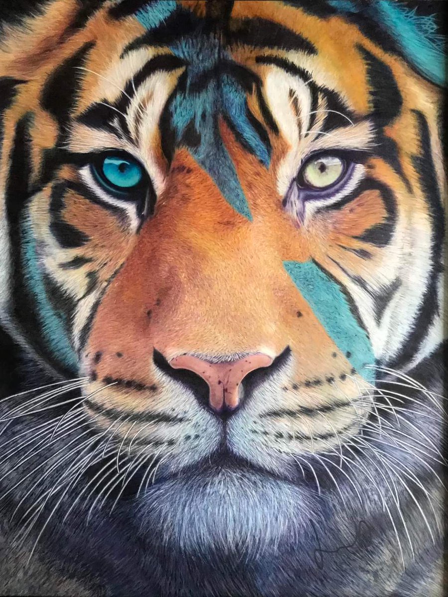 Jerome_draws's tweet photo. Création réalisée aux crayons de couleur sur pastelmat. Original et tirages dispo.
MP pour tous renseignements.
Format : 50x65cm
#artrealism #artistoninstagram #animaldrawing #coloreddrawing #drawing #drawingoftheday #hyperrealism #instaart #photorealism #tiger #wildlifeart https://t.co/tCyklqmTCW