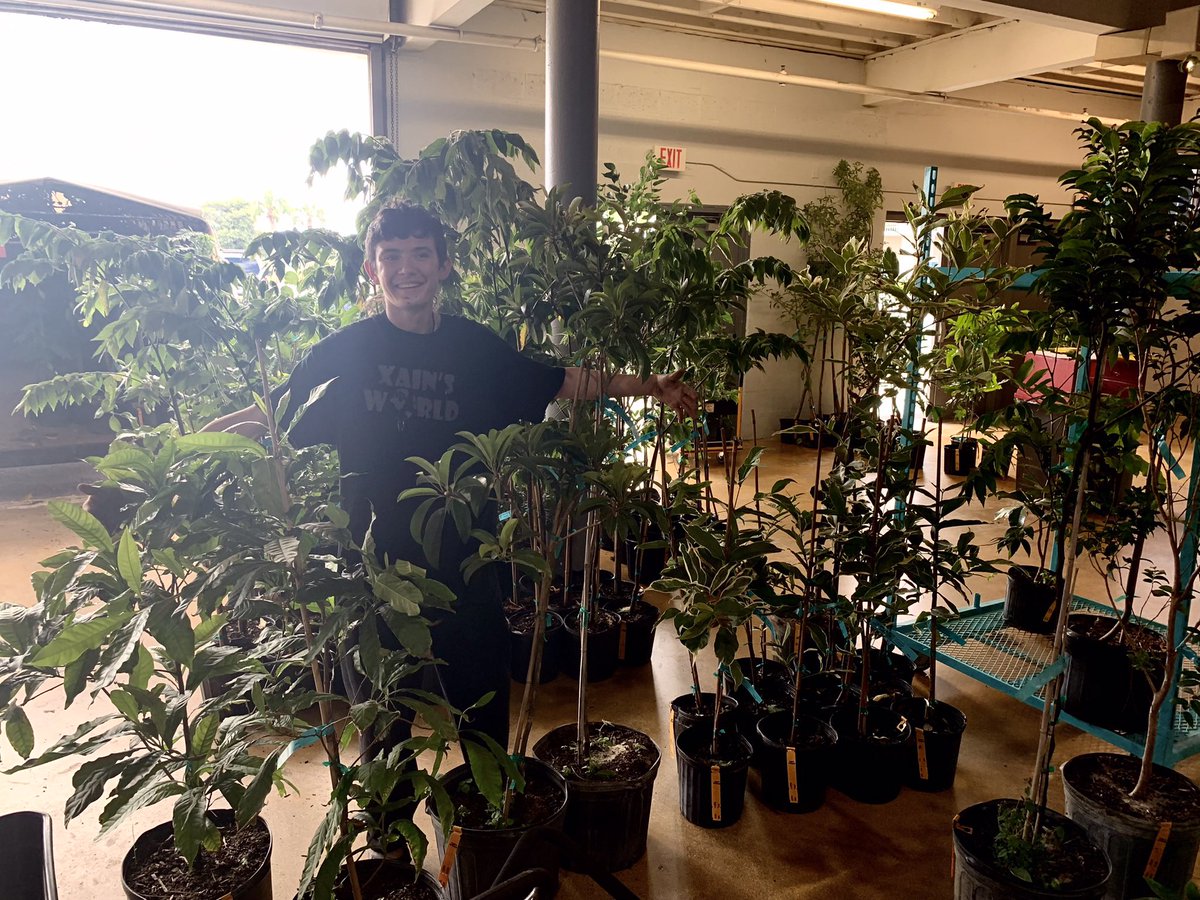 RareFruit_PB's tweet image. Don’t forget to visit Xains’s World while you’re at the March 25th Plant Sale!

#rarefruit #rarefruittrees #rarefruits #gardening #plantsale #healthyfood #growyourownfood #plinia #florida #westpalmbeach #fruittrees