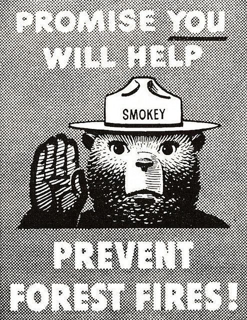 smokey_bear's tweet image. Will you help stop the spread of wildfires? You can take the Smokey Bear pledge on my website: bit.ly/3afcCBE.