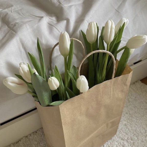 itmydefinition's tweet photo. white tulip https://t.co/2BiOAHtKSe