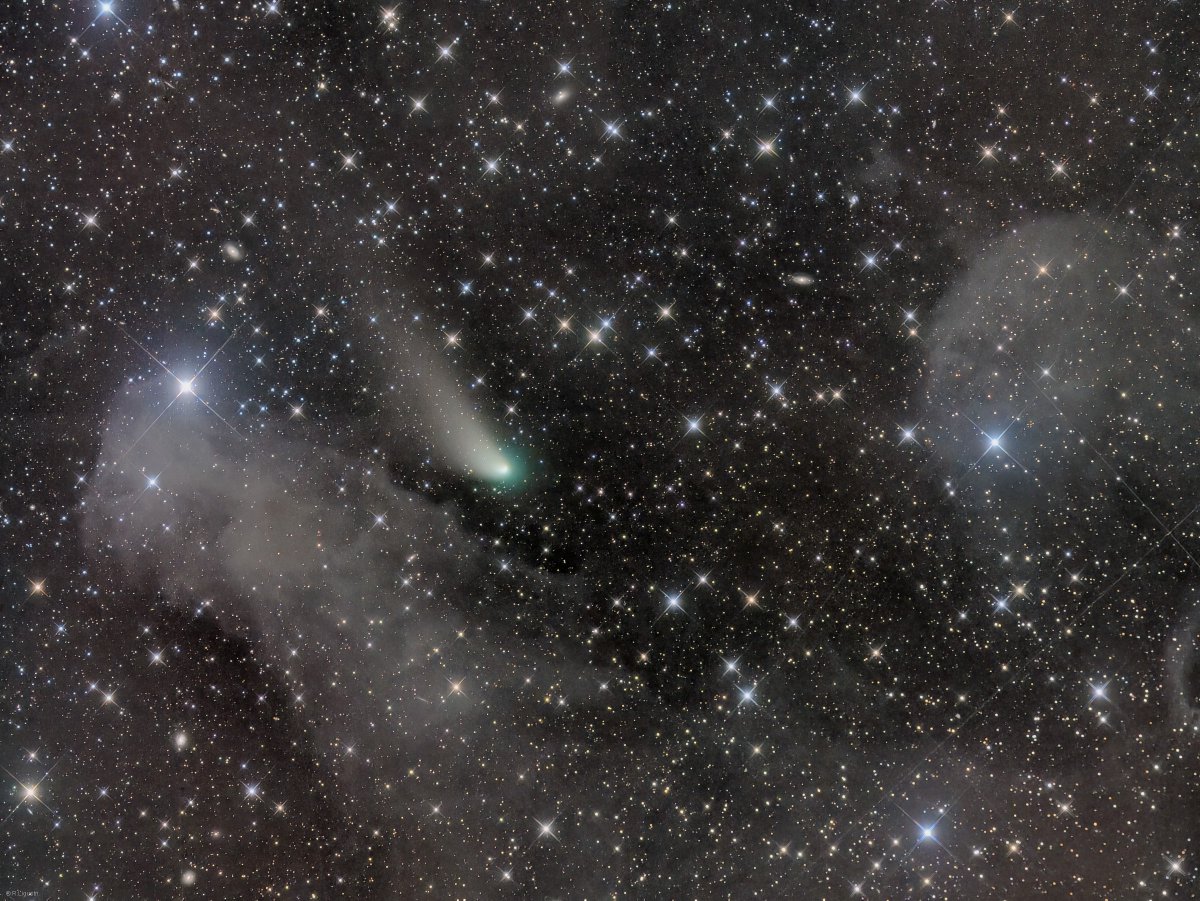 shreerangp's tweet photo. Outbound Comet ZTF π¨βππ©βπ
#SpaceForce #space #spaceX #astronomy #AstronomyClub #NASASocial #NASA #ISRO #ASTRO #astrology #NASAatHome #Explore #wallpaper #FridayFeeling https://t.co/MhJySnf0oo