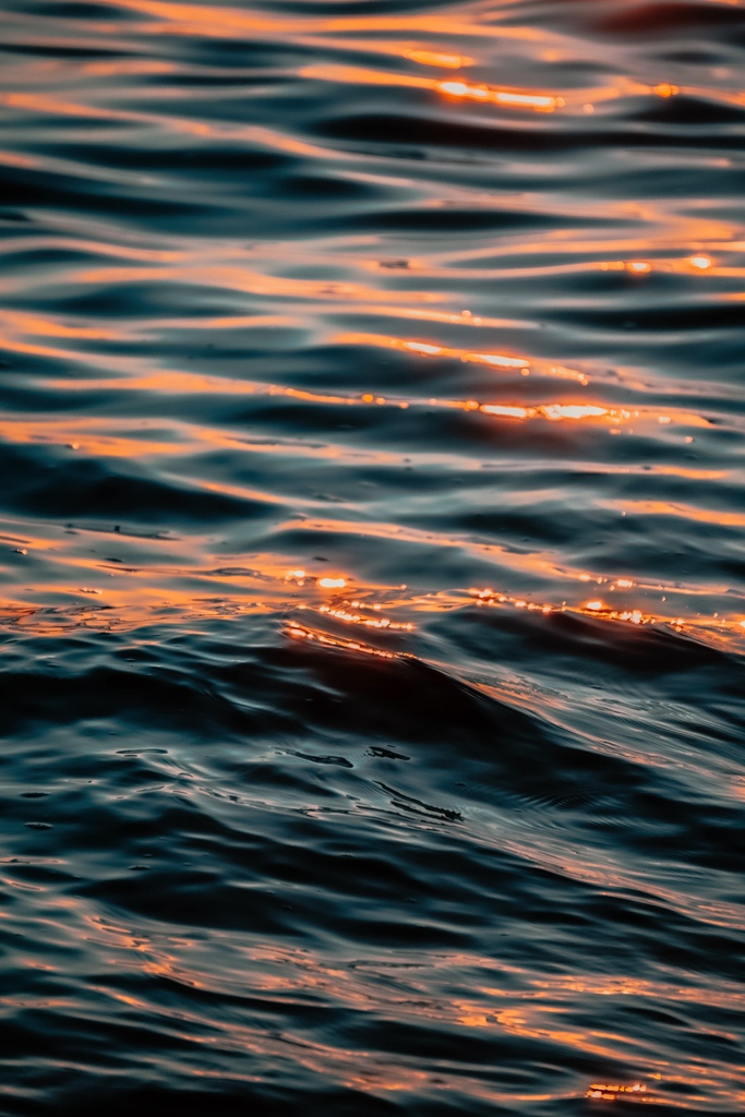 sarahxslr's tweet photo. The only feeling that matters is this one
#dreamermagazine #justgoshoot #jerseyshore #agameoftones #createexplore #shootermag #goldenhour #exploreoutdoors #roamtheplanet #nostalgic #liveoutdoors #scenicnj #localtourist #outside_project #earthoffical #seascapes #abstractnature https://t.co/JfEaNPtUsP