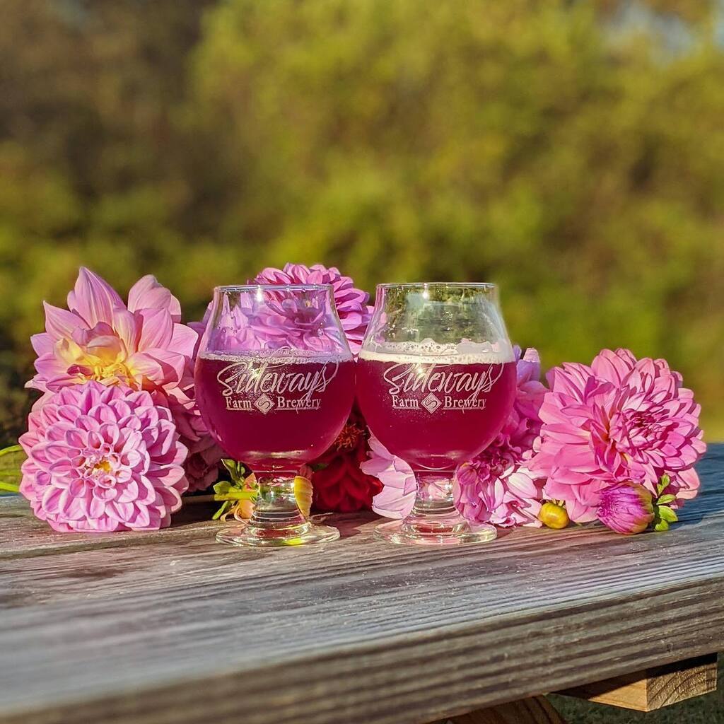 SidewaysFarm's tweet photo. Spring has Sprung and we’re so excited for some warmer weather. We have @fetaflav_foodtruck here today and @hoecakesfoodtruck on Saturday and Sunday!!⁣
⁣
Stop on by for some good eats and a glass of our small batch beer or jun. We hope to see you soo… https://t.co/EDUCtniXrQ https://t.co/BZYmLnUtvN