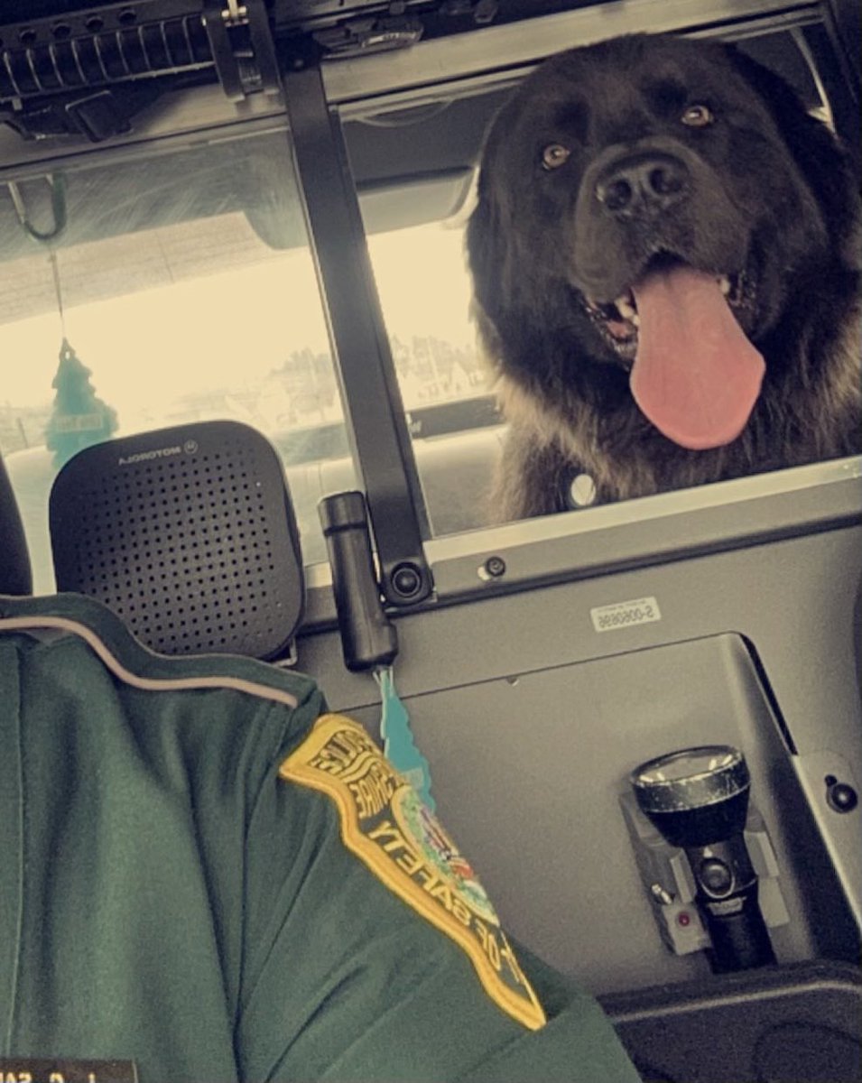 At 9:45am, #NHSP #TroopB Troopers were dispatched to the Everett Turnpike NB in Merrimack after receiving a report that two dogs ran out of a vehicle from a nearby store.

The road was closed for a short period &amp; both dogs were safely captured &amp; returned to their owner. 🐕