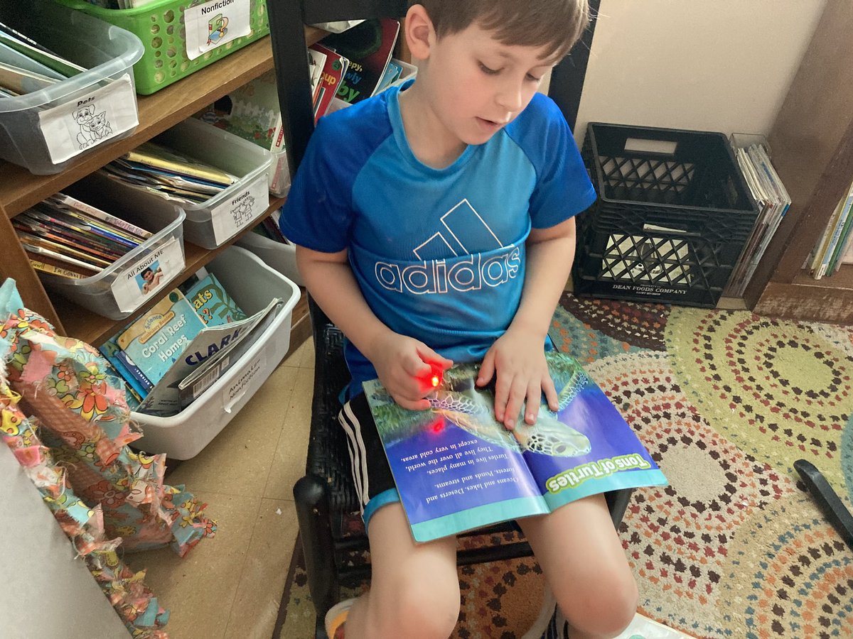 Kelly Stone tweet media