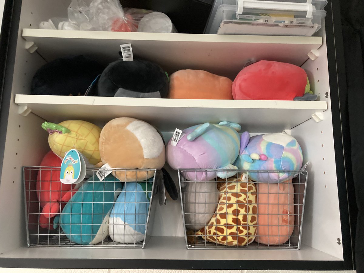 Kelly Stone tweet media