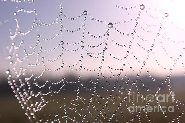 VHSPhotography's tweet photo. New artwork for sale! - "Sunset Raindrops" - https://t.co/kMEAGY1mwn @fineartamerica https://t.co/ahPeteDB2I