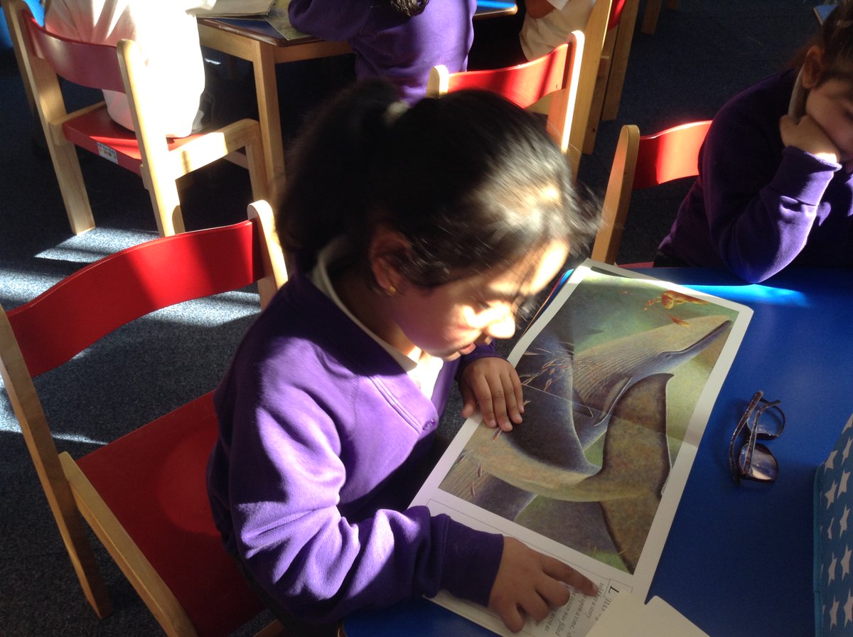 ECS_Keighley's tweet photo. The Reception children had a great time in the library, today. They listen really well to a story and then looked at a variety of their favourite story books. #listentoouravouritestories #lovingbooks https://t.co/EEQeYb7BHq