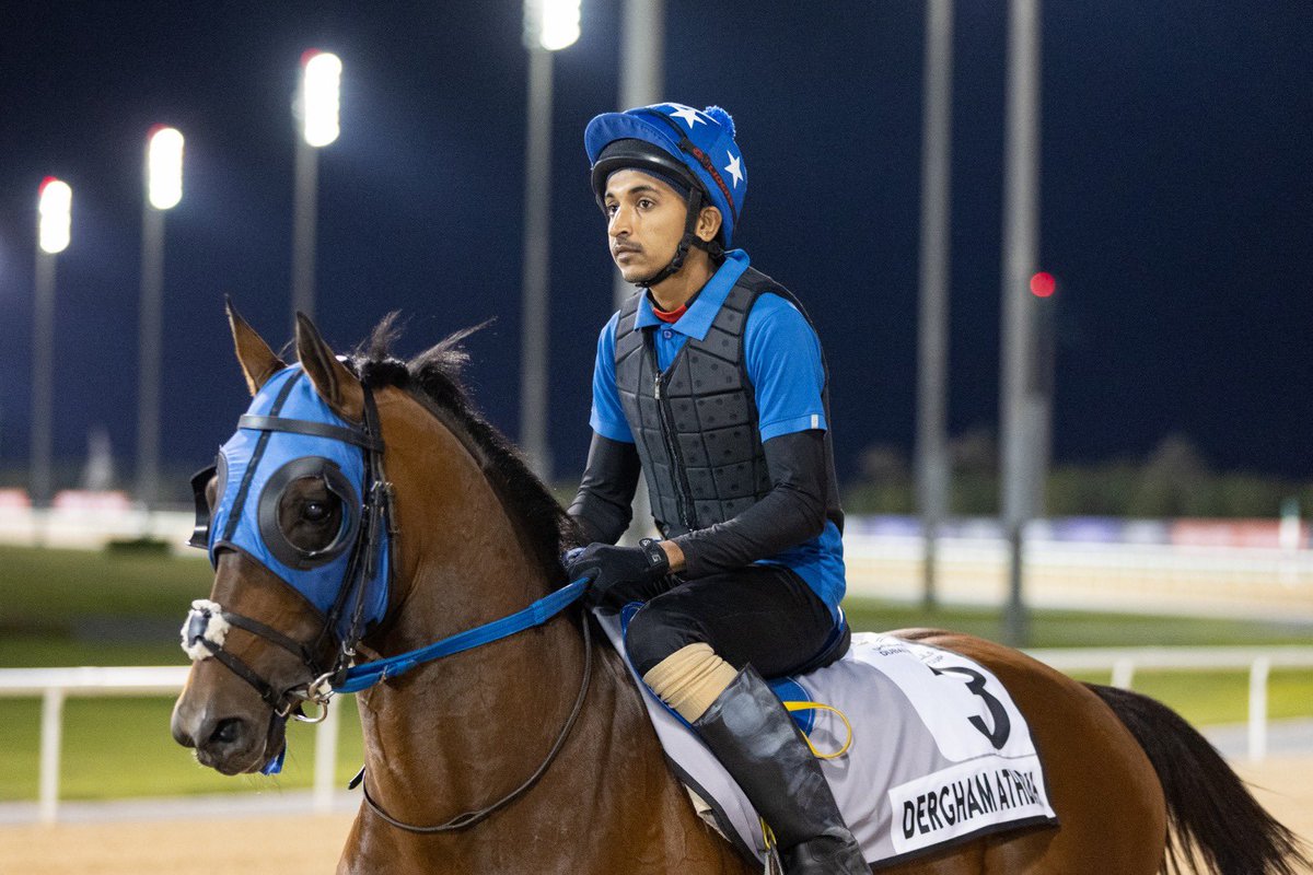 كل التوفيق غدًا للملاك السعوديين المشاركين في كأس دبي 2023 🇸🇦🇦🇪🏆